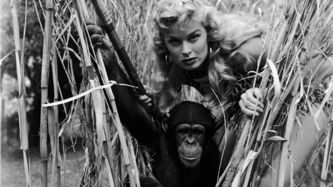 Sheena, Queen of the Jungle