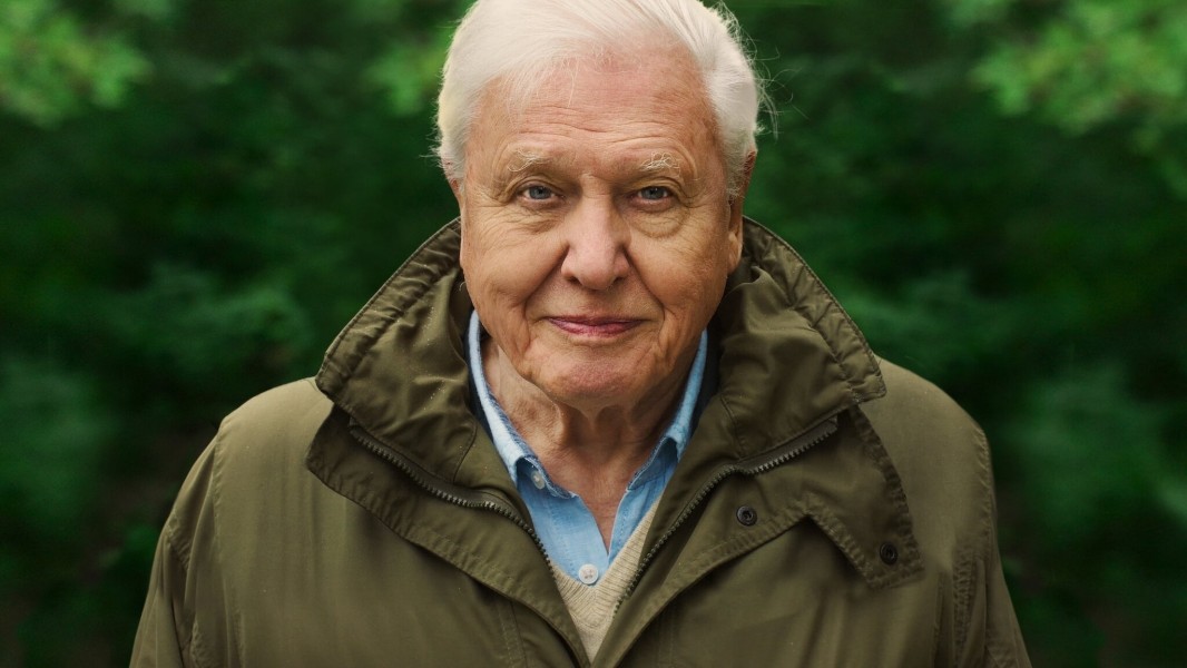 David Attenborough: A Life on Our Planet