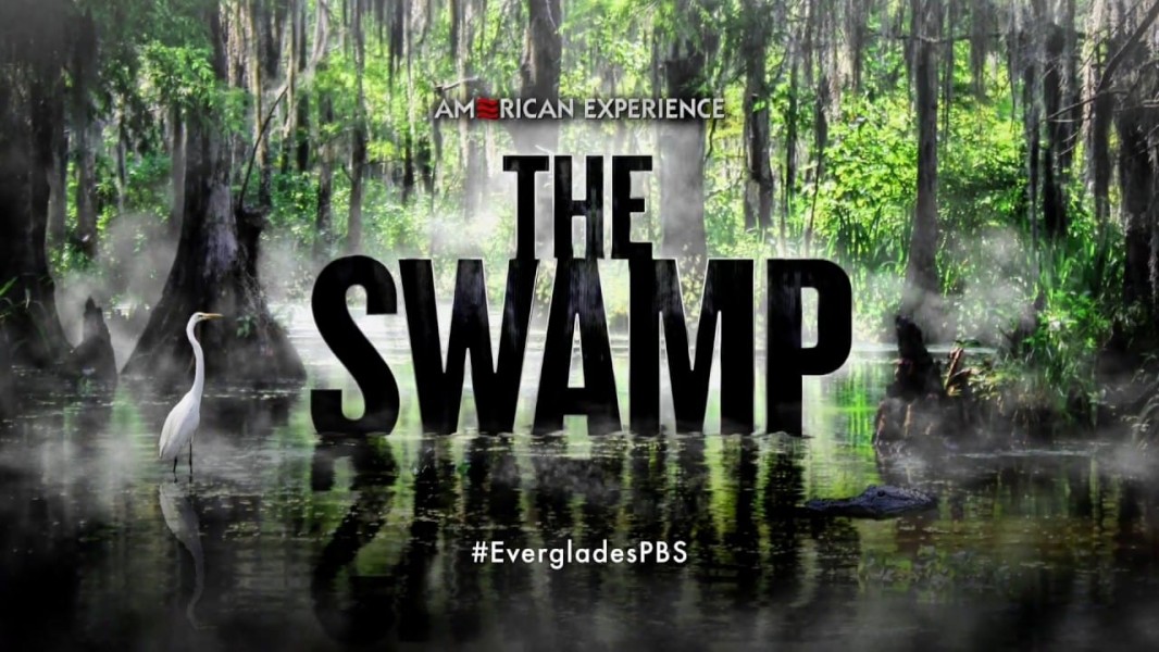 The Swamp