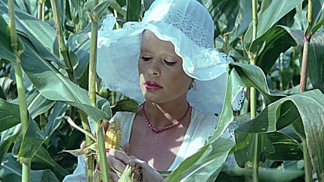 Secrets of a French Maid