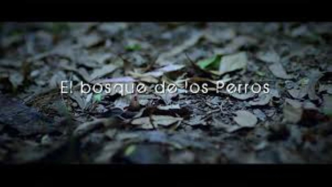 El bosque de los perros