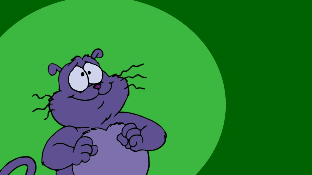 Eek! The Cat