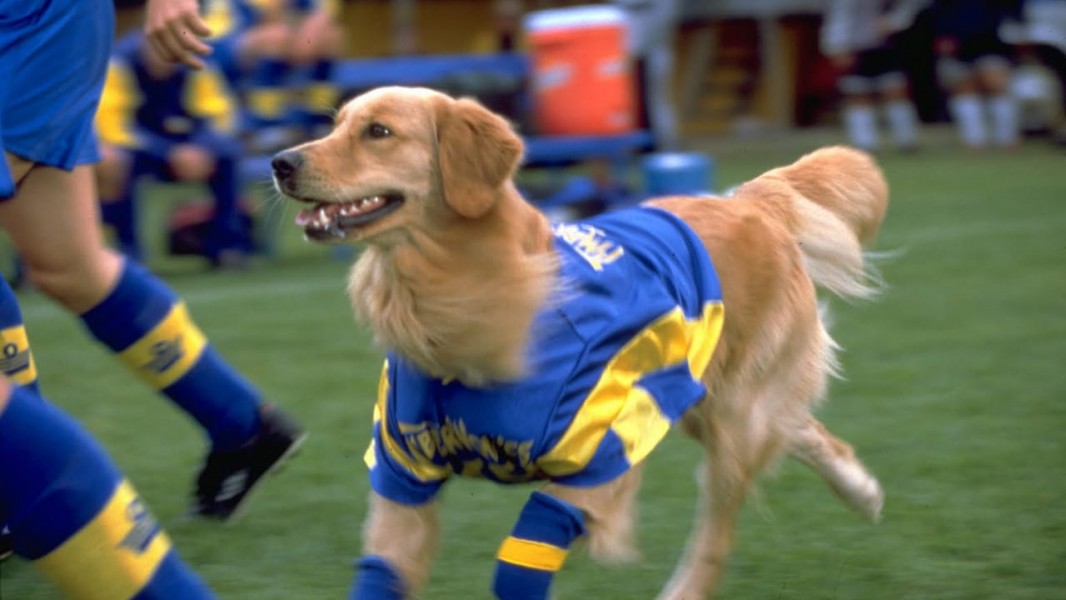 Air Bud 3: World Pup