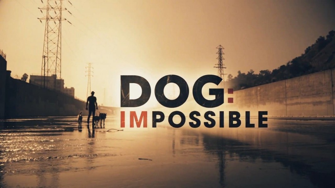 Dog: Impossible