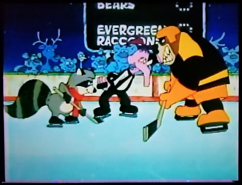 The Raccoons on Ice