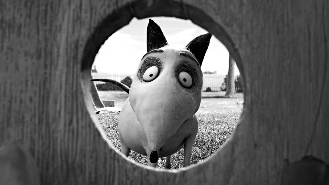 Frankenweenie