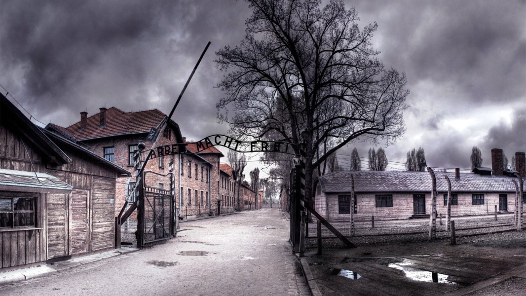 Auschwitz: The Nazis and the Final Solution