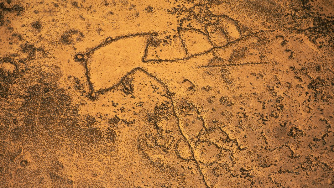 The Mystery of the Desert Kites