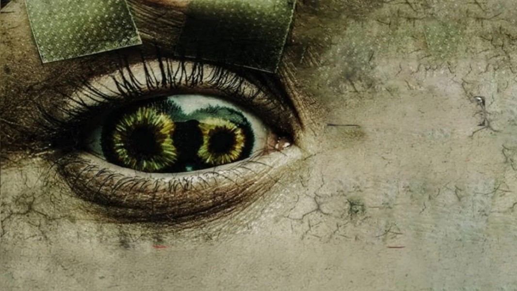 Never Blink