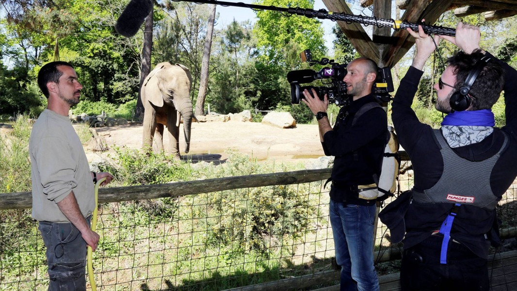 Une saison au zoo