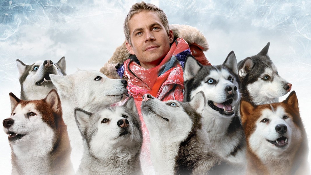 Eight Below