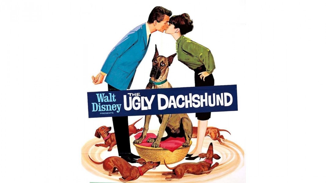 The Ugly Dachshund