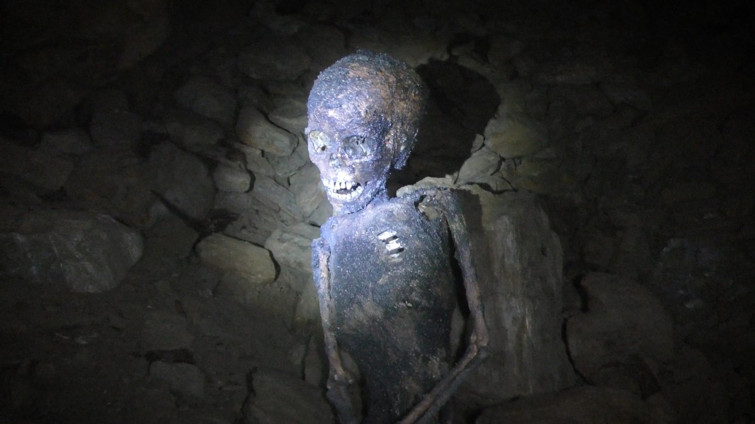 The Wilderness Tapes: Volume One