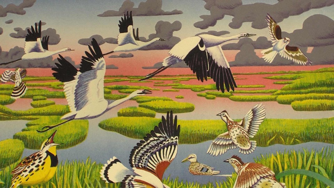 Texas Parks and Wildlife