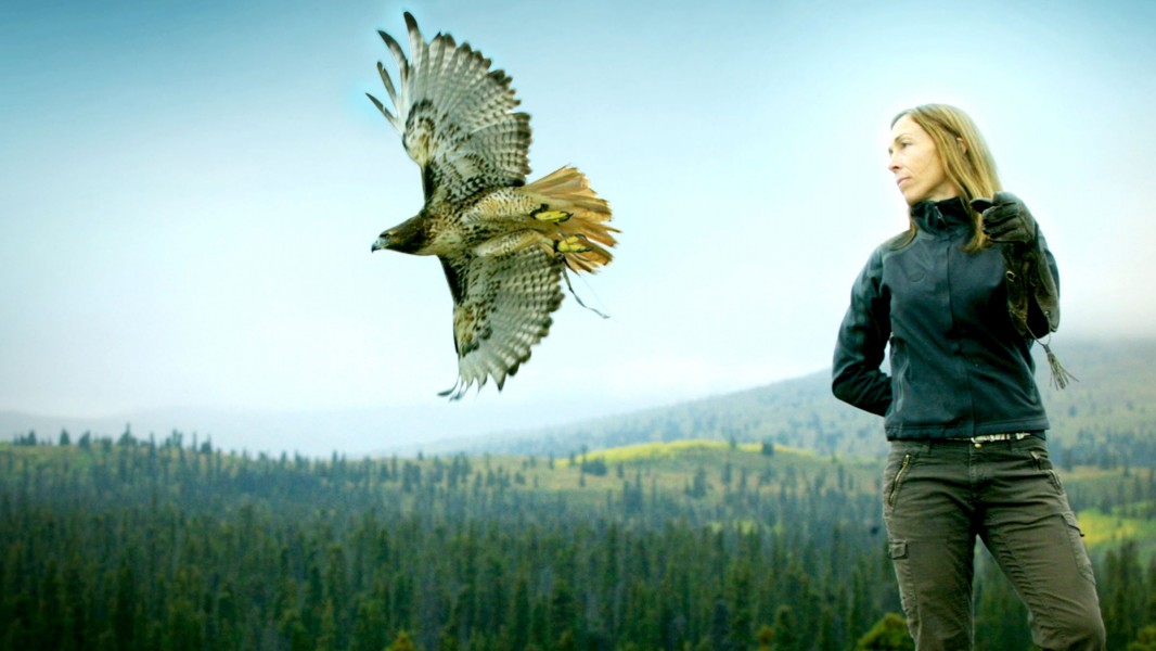 Dr. Oakley, Yukon Vet
