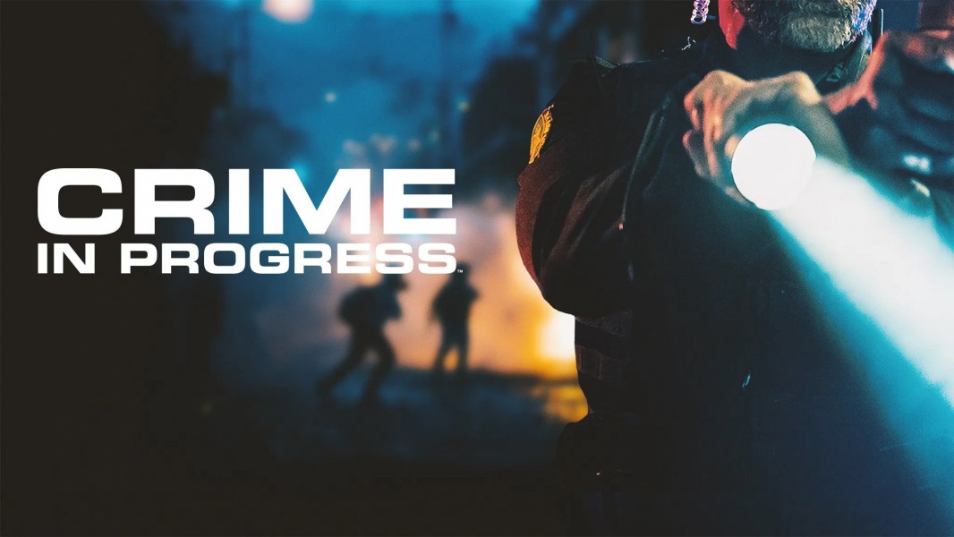 Crime in Progress