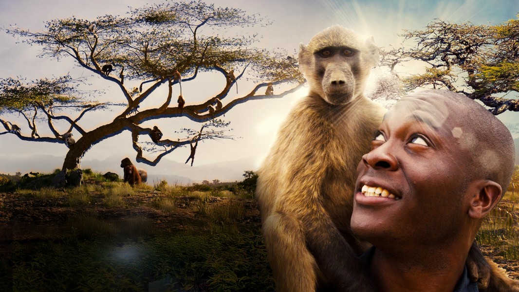 Monkeys: An Amazing Animal Family