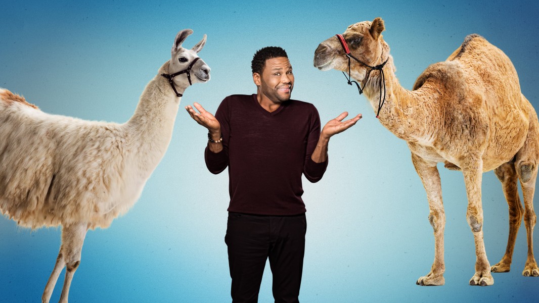 Animal Nation With Anthony Anderson