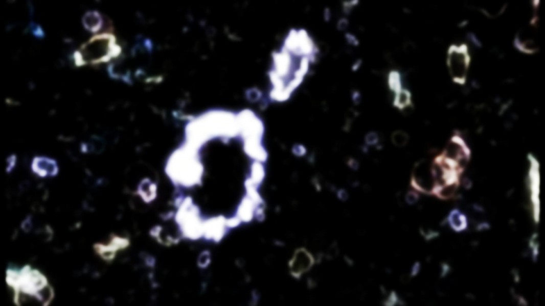 The Elegant Universe