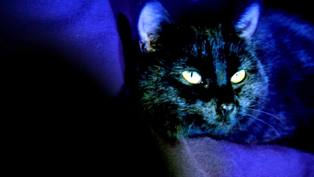 Eyes of Dread