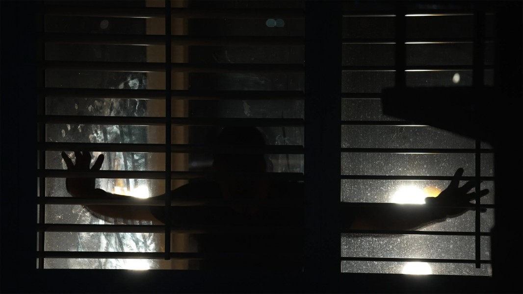 Spread: Pigs to Slaughter