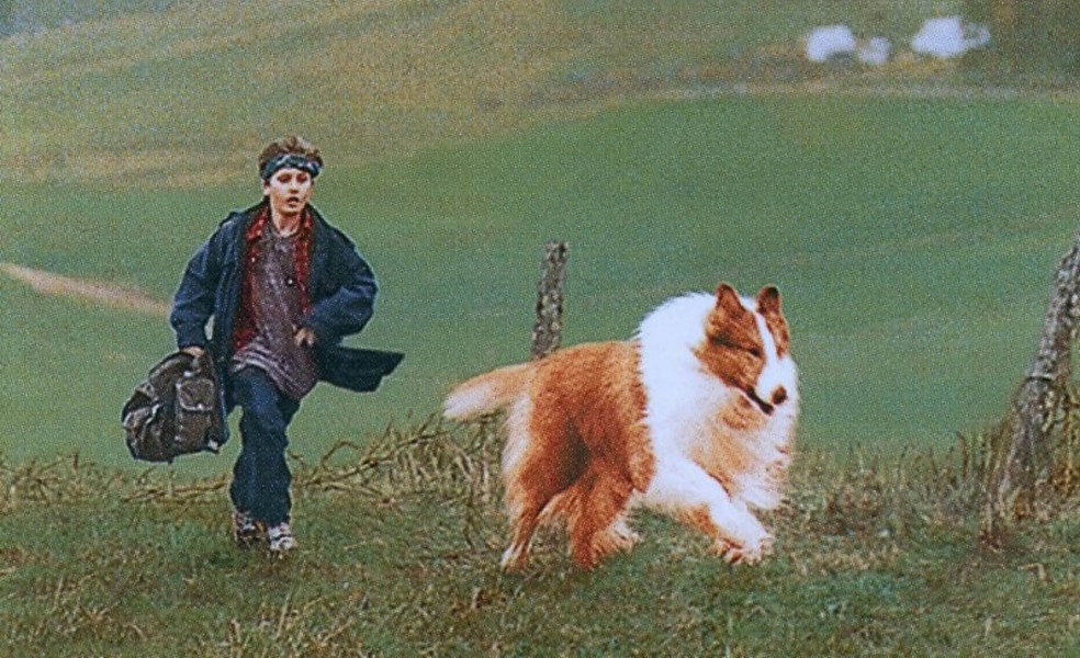 Lassie