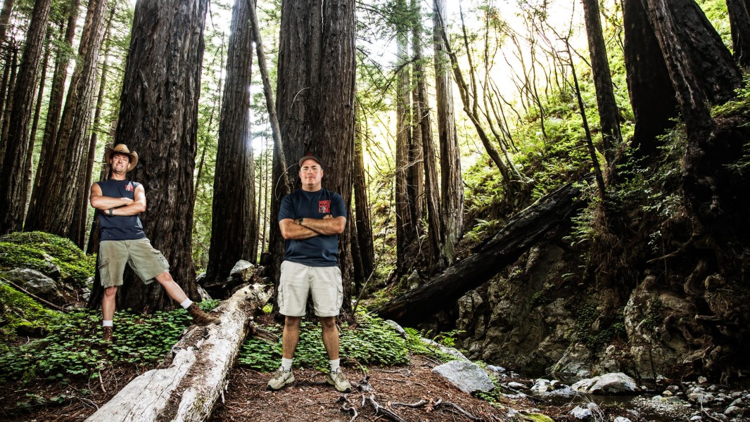 Redwood Kings