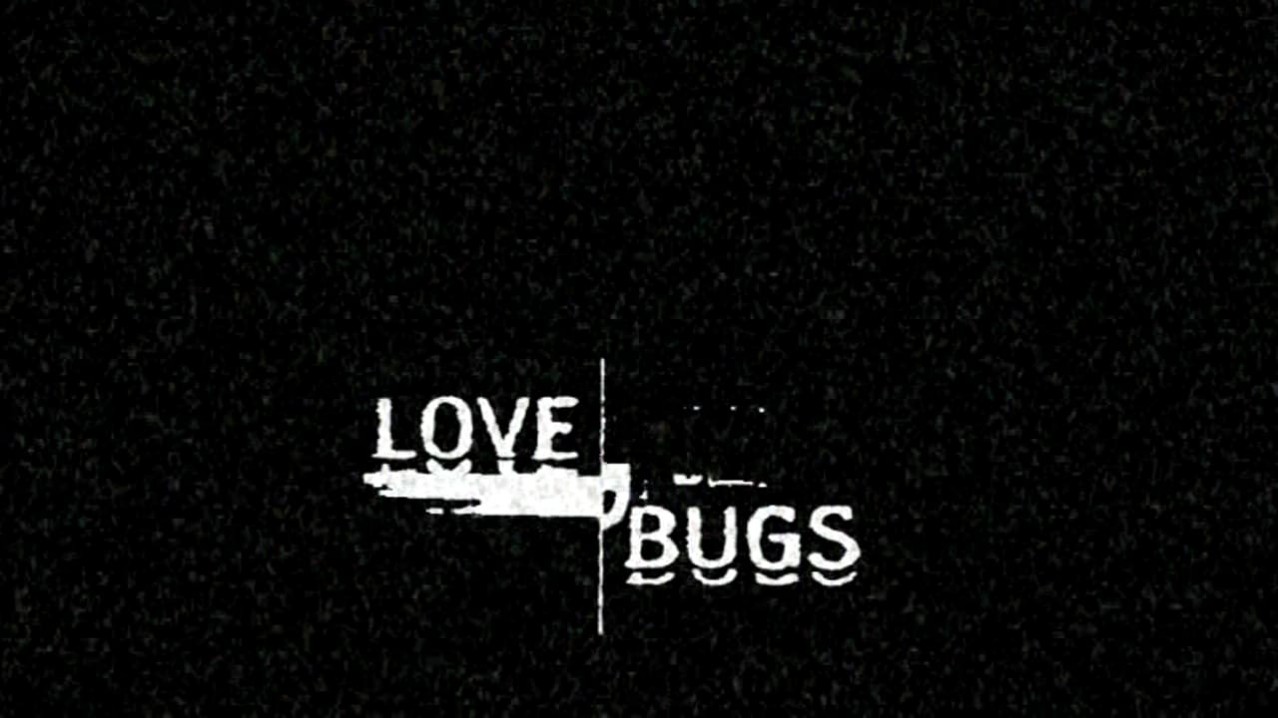 Love Bugs