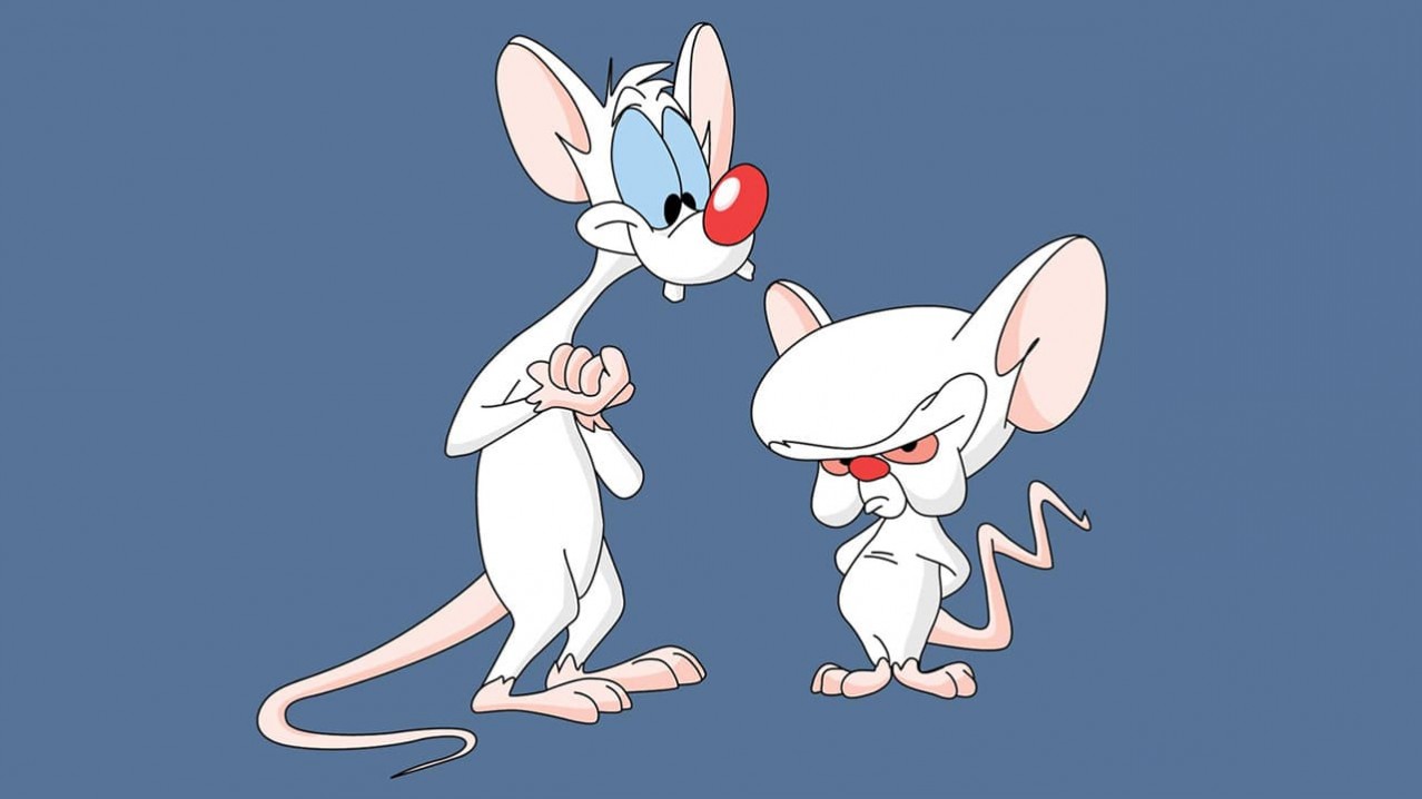 Pinky and the Brain