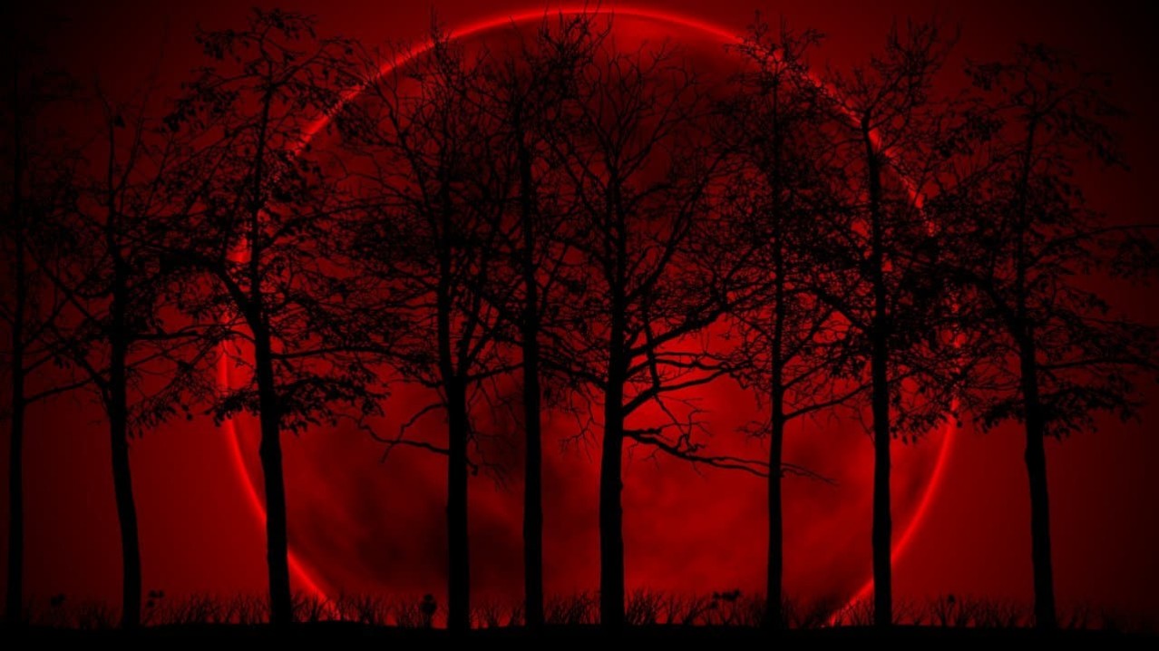 Blood Moon Rising