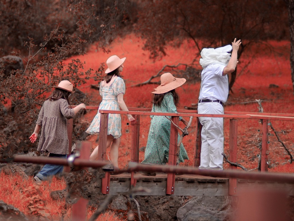 The Absence of Milk in the Mouths of the Lost