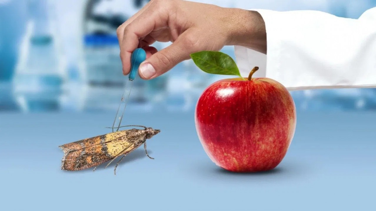 The Weight of Chains 3