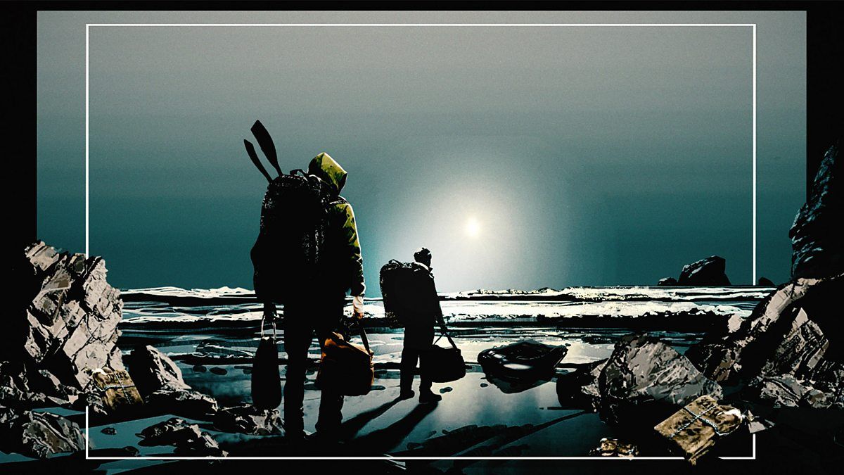 Cannabis Cove: Operation Seal Bay