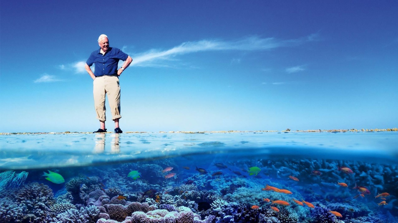 Great Barrier Reef with David Attenborough