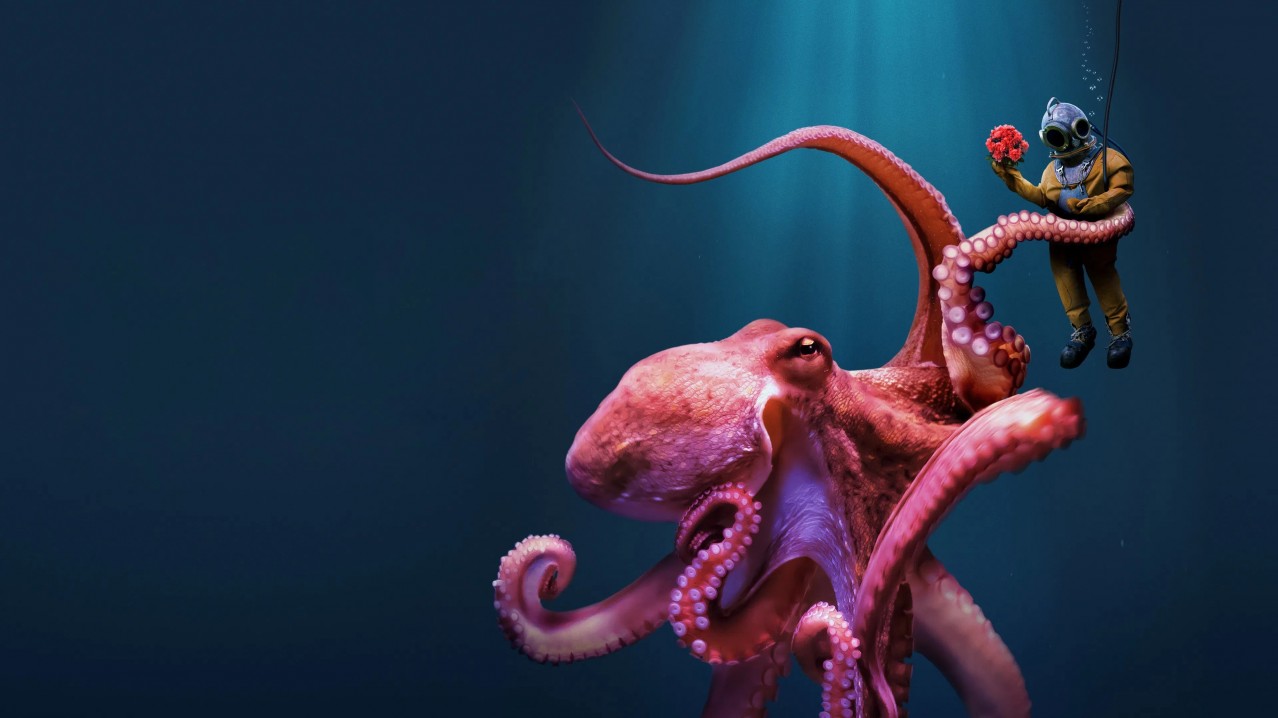 Octopus!