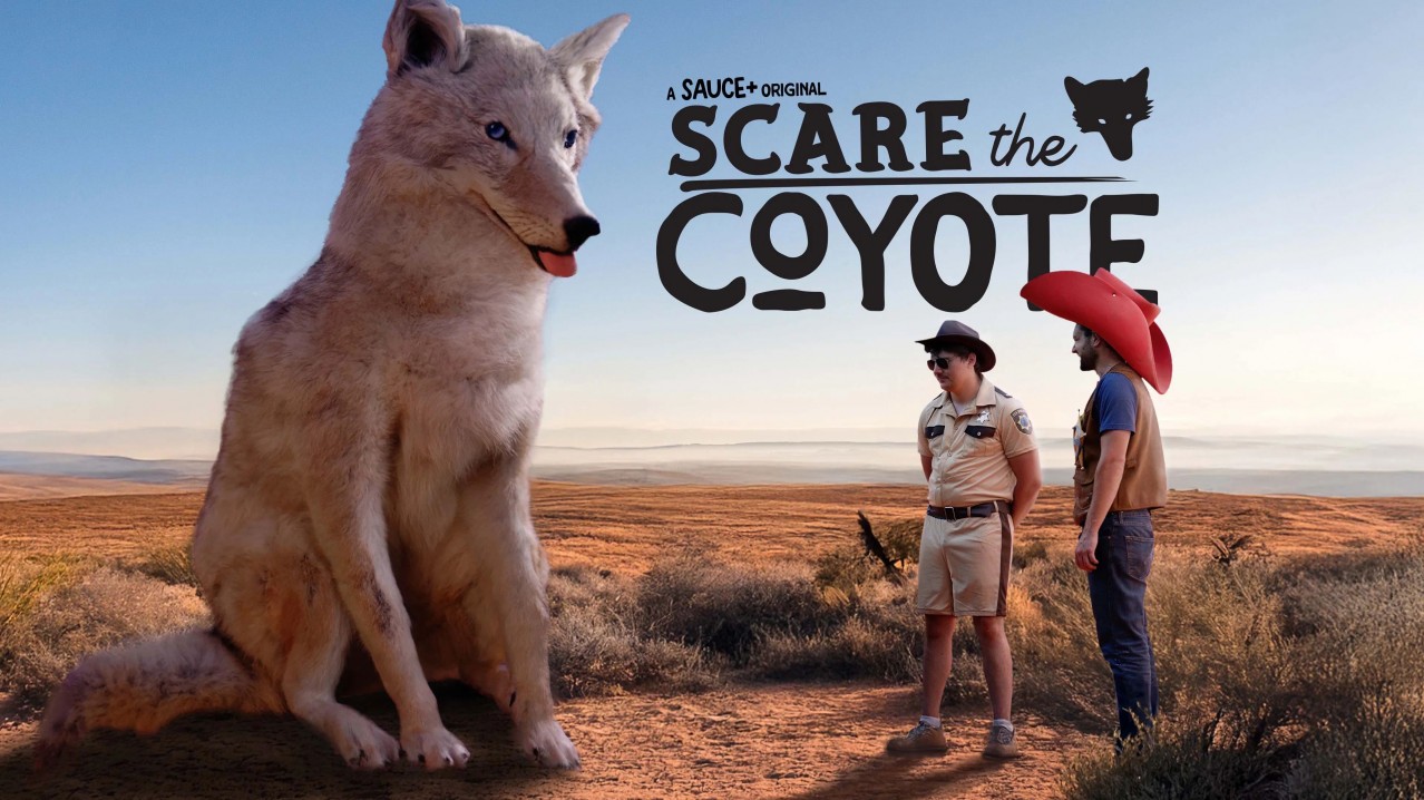 Scare the Coyote