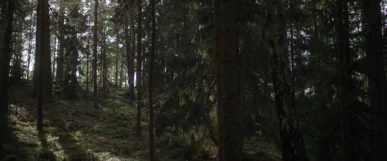 The Huntress: Rune of the Dead