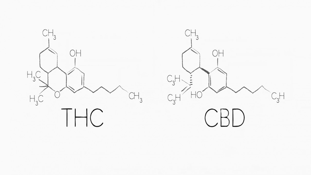 Going to Pot: The High and Low of It