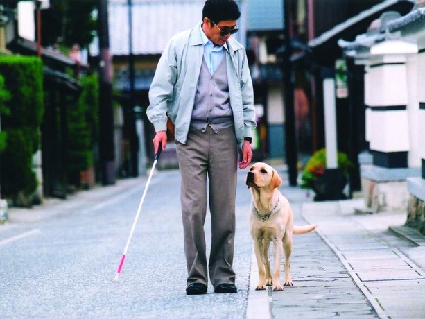 Quill: The Life of a Guide Dog