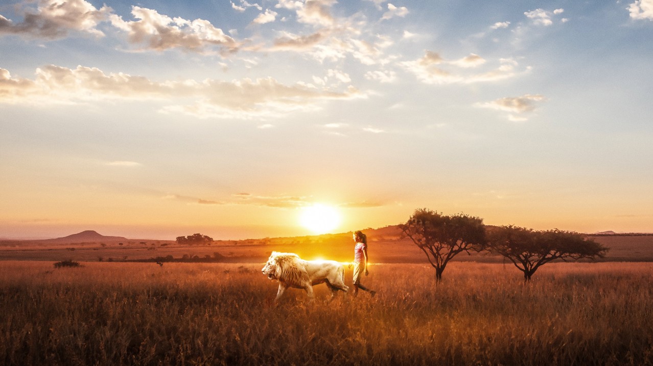 Mia and the White Lion