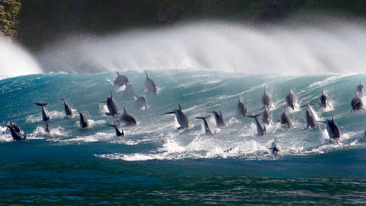 Oceans: Our Blue Planet