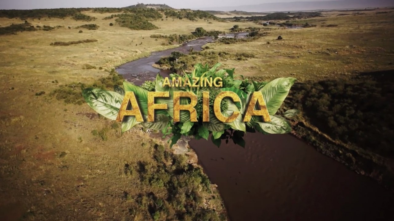 Amazing Africa