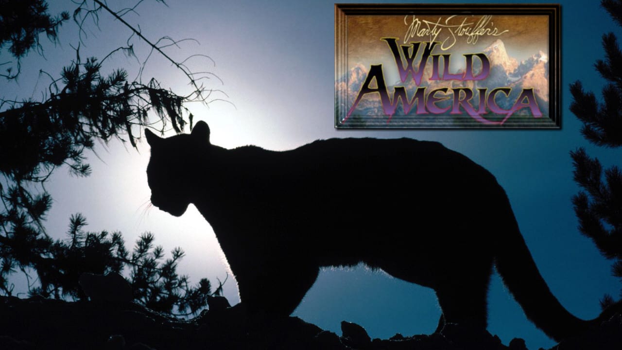 Wild America