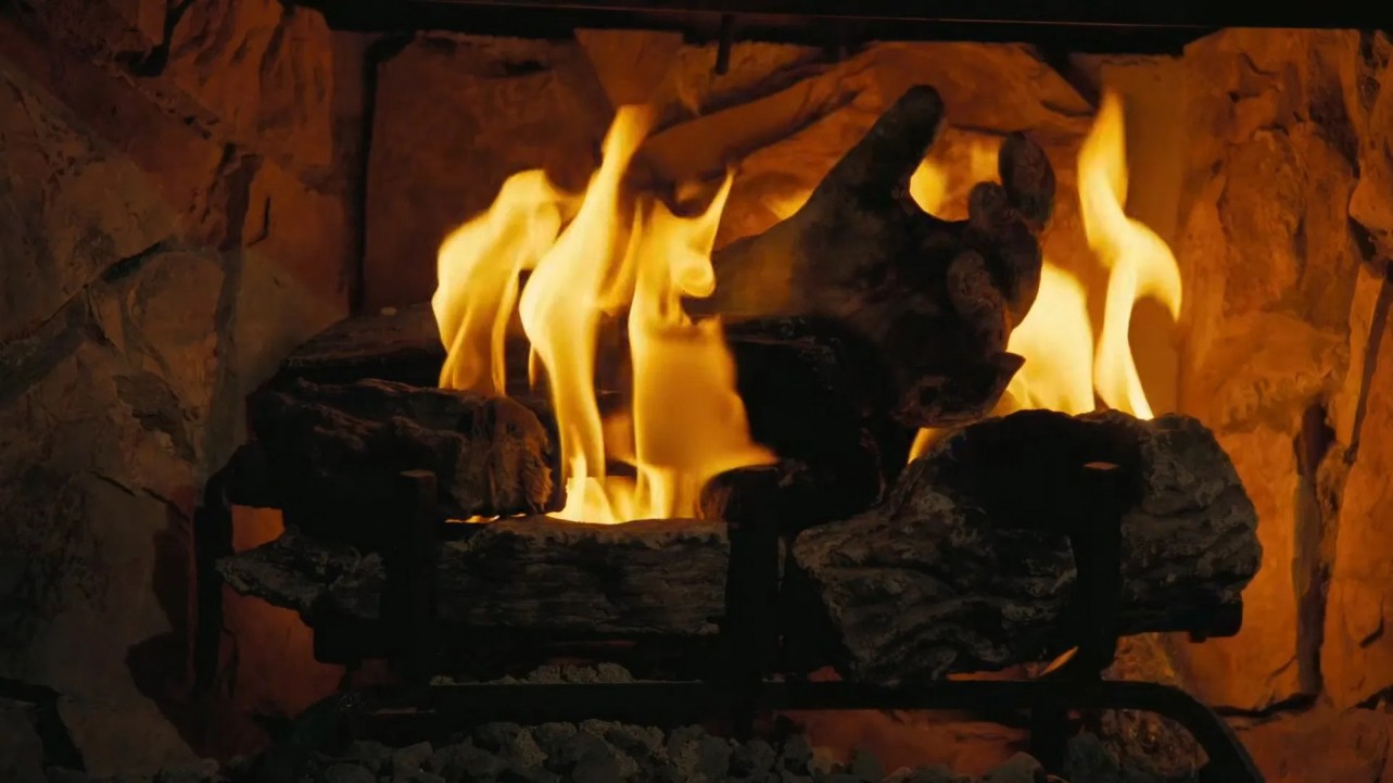 Fallout: The Ghoul Log