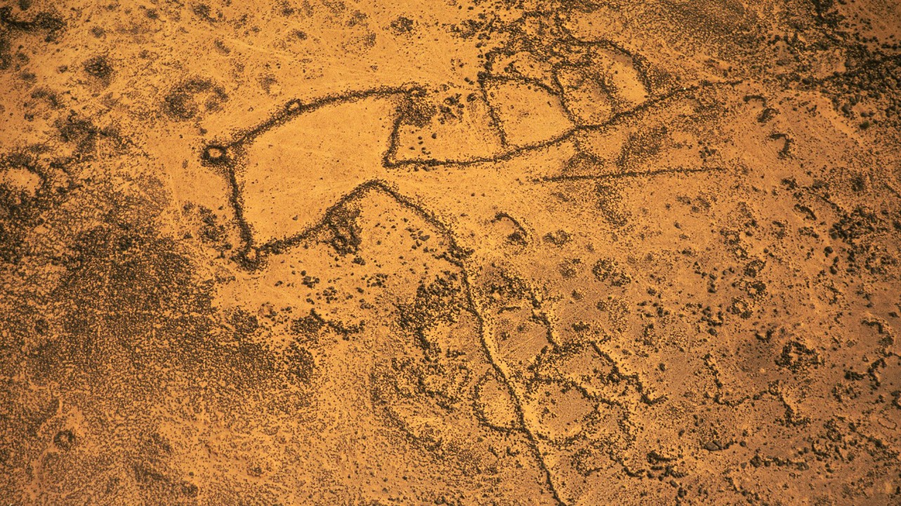 The Mystery of the Desert Kites