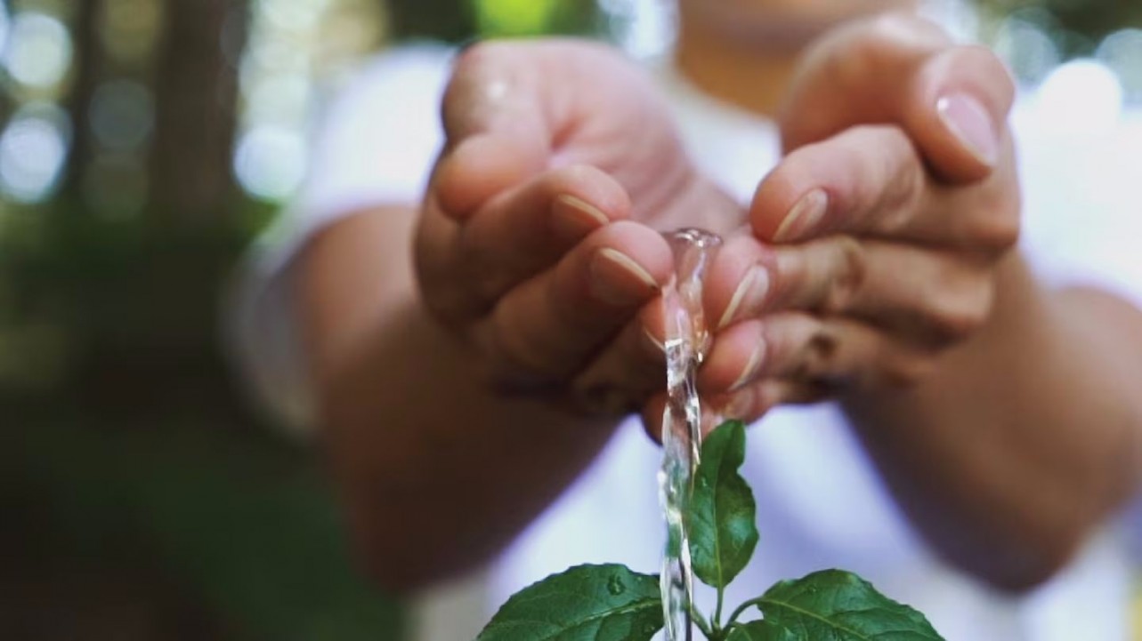 The Climate Restorers