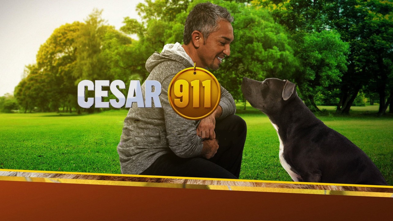 Cesar 911