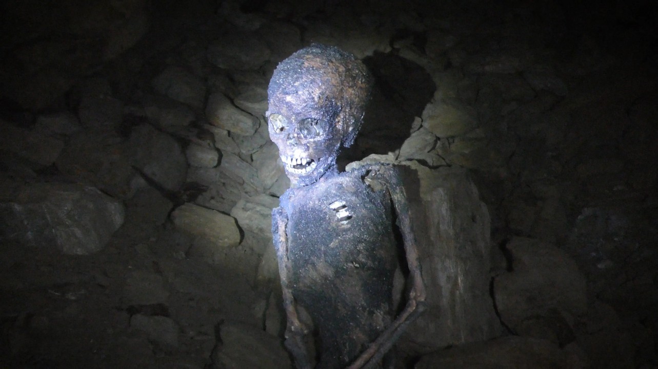 The Wilderness Tapes: Volume One