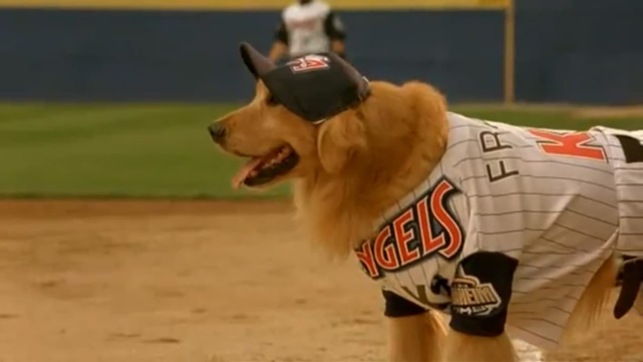 Air Bud: Seventh Inning Fetch