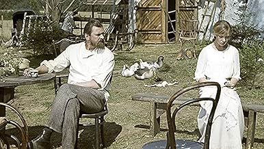 The Seagull